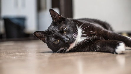 Similar image 21803265