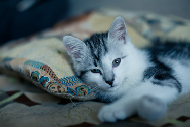 Similar image 21813347