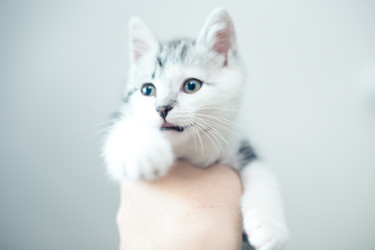 Similar image 21813348