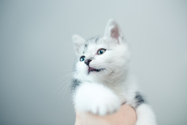 Similar image 21813349