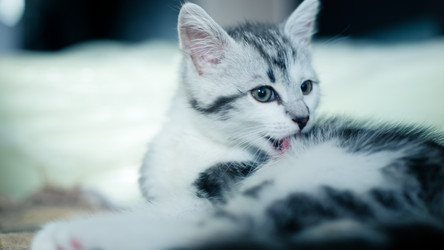 Similar image 21813350