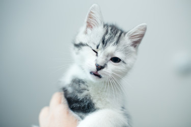 Similar image 21813351