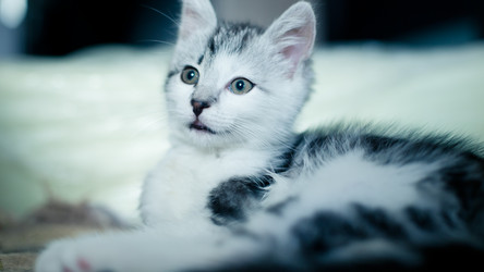 Similar image 21813352