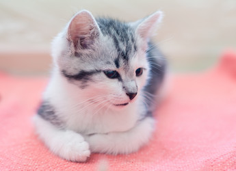 Similar image 21813353