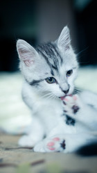 Similar image 21813354