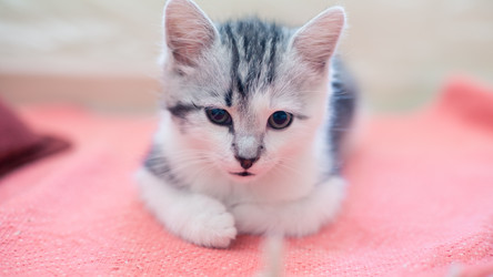 Similar image 21813355