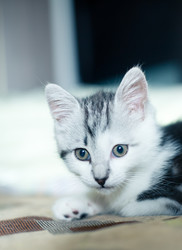 Similar image 21813356