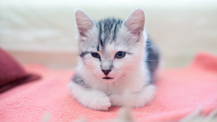 Similar image 21813357