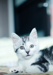 Similar image 21813359