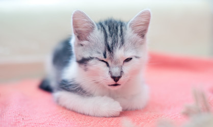 Similar image 21813362