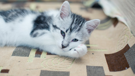 Similar image 21813364