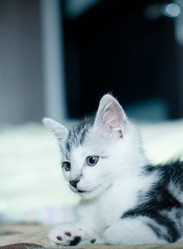 Similar image 21813365