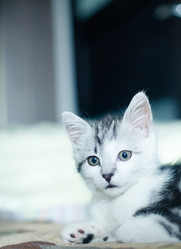 Similar image 21813367