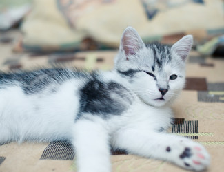 Similar image 21813850