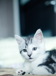 Similar image 21813851