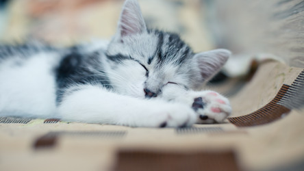 Similar image 21813852