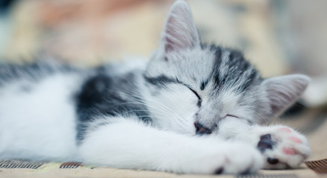 Similar image 21813853