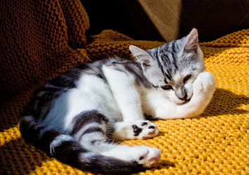 Similar image 21813369