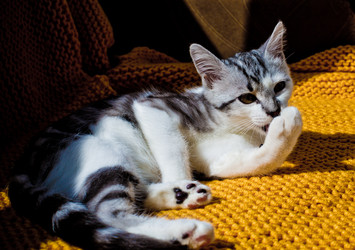 Similar image 21813370