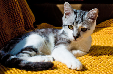 Similar image 21813371