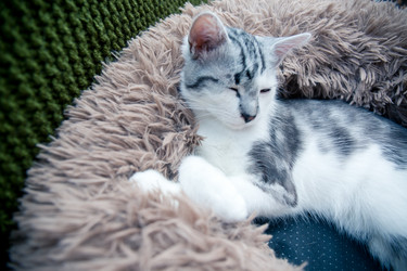 Similar image 21813372