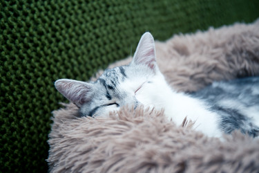 Similar image 21813373