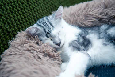 Similar image 21813374