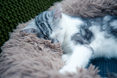 Similar image 21813375