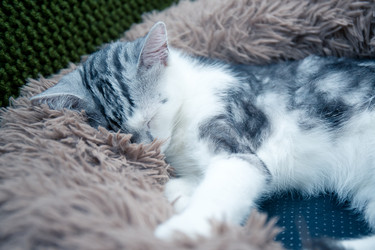 Similar image 21813376