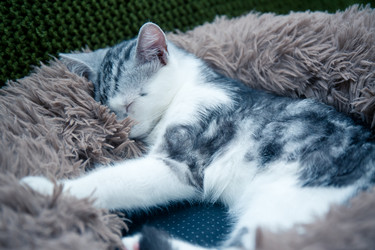 Similar image 21813378