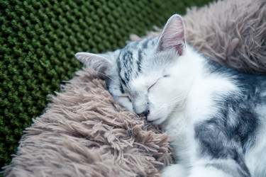 Similar image 21813379