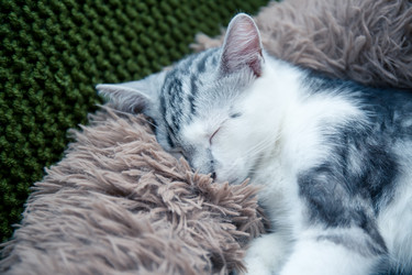 Similar image 21813380