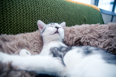 Similar image 21813381