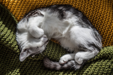 Similar image 21813382