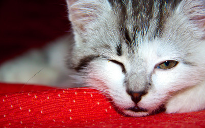 Similar image 21813385