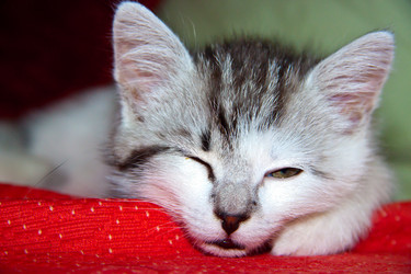 Similar image 21813386