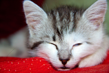 Similar image 21813387