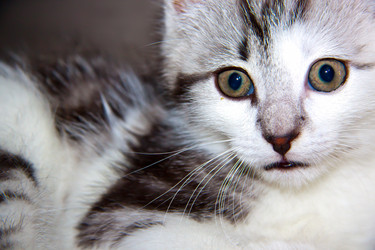 Similar image 21813388