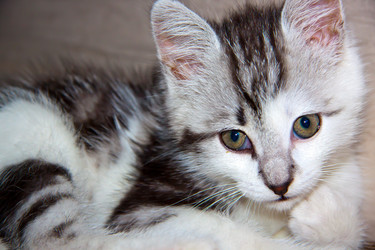 Similar image 21813390