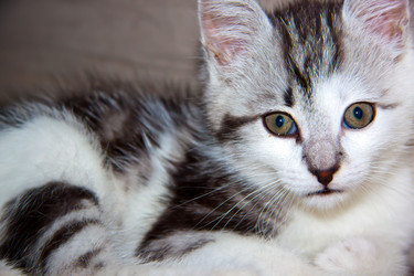 Similar image 21813391