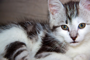 Similar image 21813392