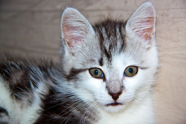 Similar image 21813393