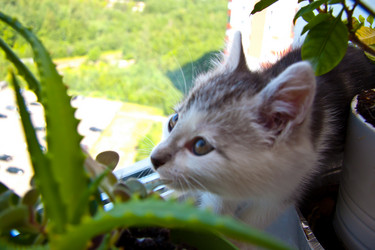 Similar image 21813394