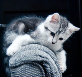 Similar image 21813856