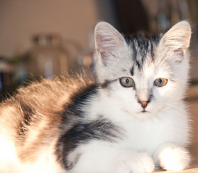 Similar image 21813395