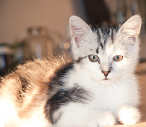 Similar image 21813396