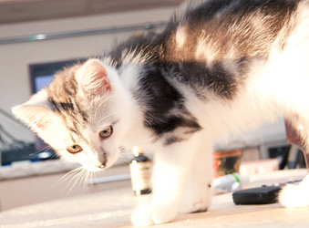 Similar image 21813397