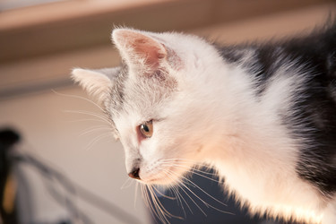 Similar image 21813398