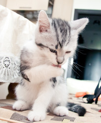 Similar image 21813399