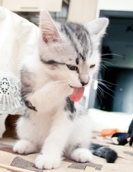 Similar image 21813400